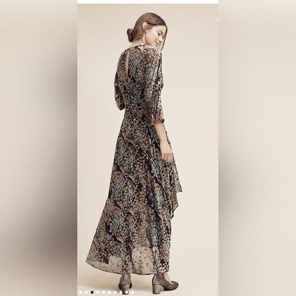 Anthropologie Woodlands Maxi Dress size 4 - Picture 2 of 12